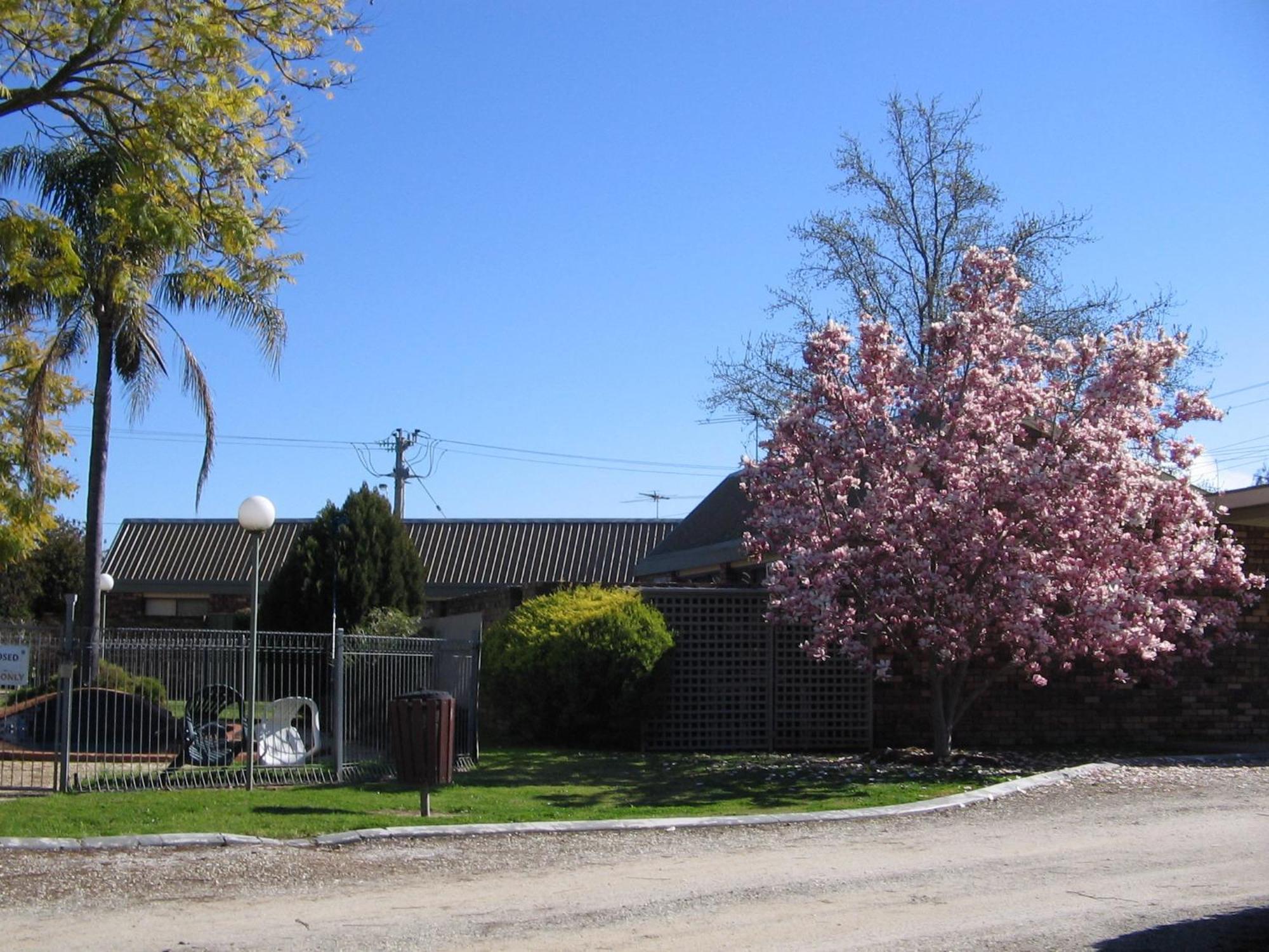 Belvoir Village Motel & Apartments Wodonga Exterior foto